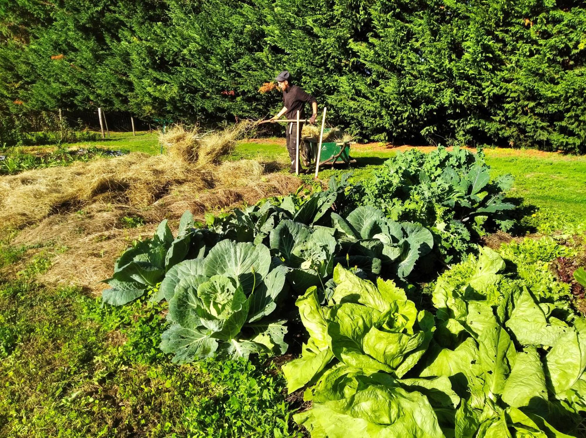 Tente Trappeur Ada, Au Jardin De La Vouivre Saint-Vincent-en-Bresse Exterior foto